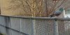 IMG_20191214_131240.jpg