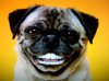 upload_2019-12-14_19-16-58.jpeg