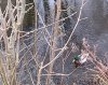IMG_20191216_131316.jpg