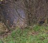 IMG_20191216_131906.jpg