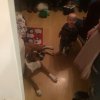 81551F30-6CF1-4DF9-9373-42EB4ED1BB11.jpeg