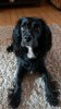 IMG-20190704-WA0000.jpg