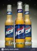 budweiser-bud-ice-beer-bottles-with-frost-and-melting-ice-B1JW1P.jpg