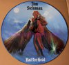 JIM_STEINMAN_BAD_FOR_GOOD_PICTURE_DISC_LP.jpg