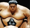 sumo.png