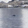 IMG_8395.jpeg