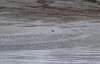 IMG_8429.jpeg