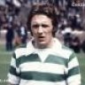 nedbhoy