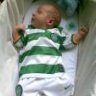 mc'celts'fitz